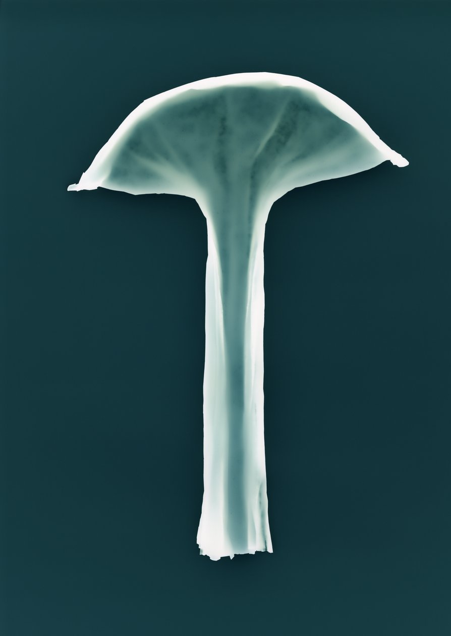 İsimsiz, 2003 by Richard Green