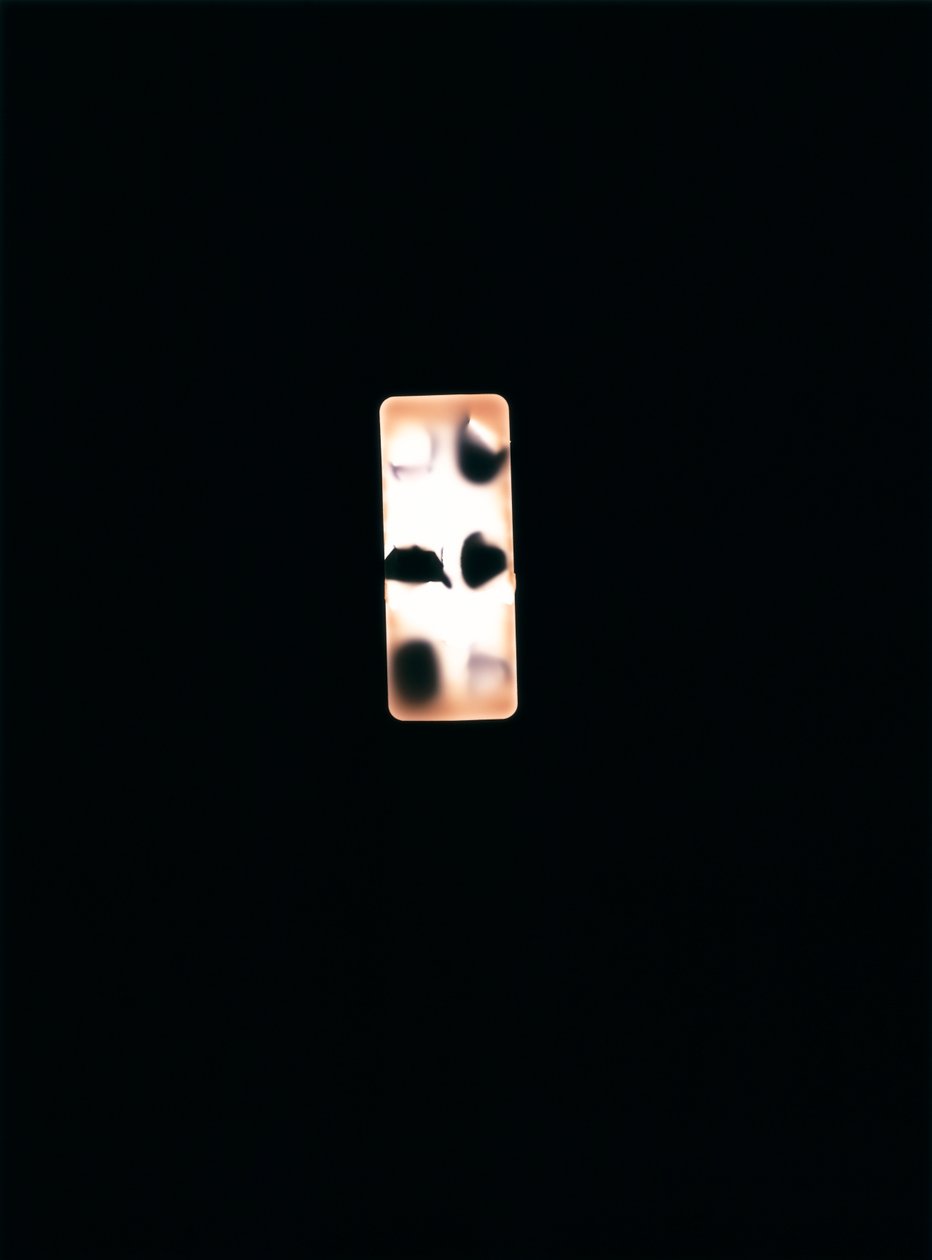 İsimsiz, 2004 (benzersiz c tipi fotogram) by Richard Green