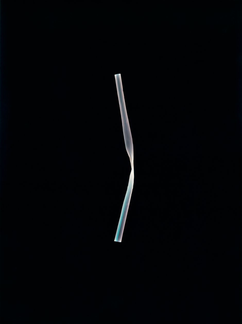 İsimsiz, 2004 (benzersiz c-tipi fotogram) by Richard Green