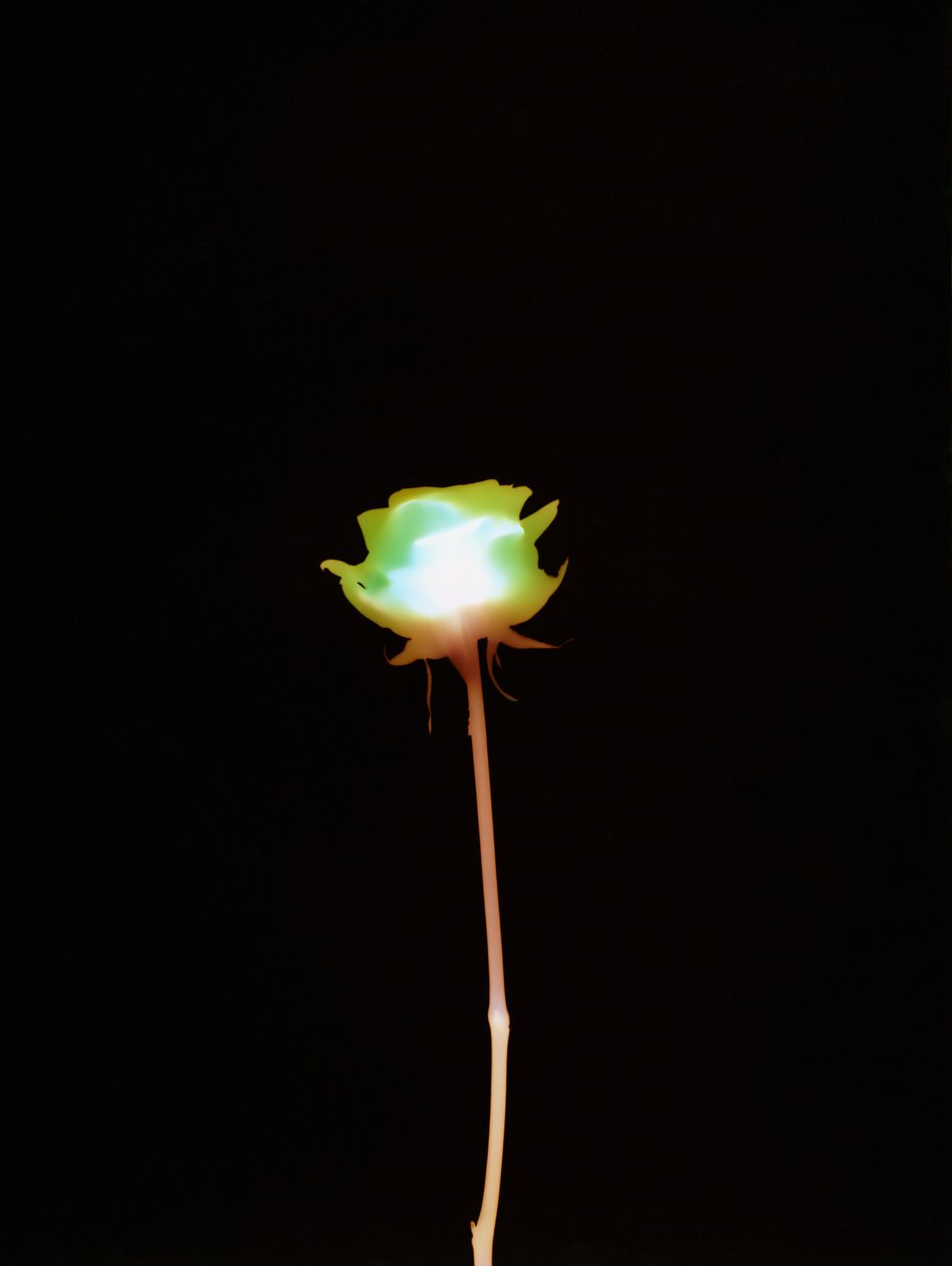 İsimsiz, 2007 by Richard Green