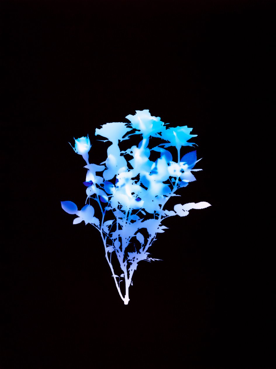 İsimsiz, 2008 by Richard Green