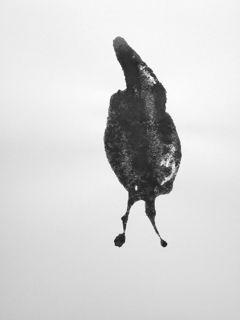  by Richard Green
