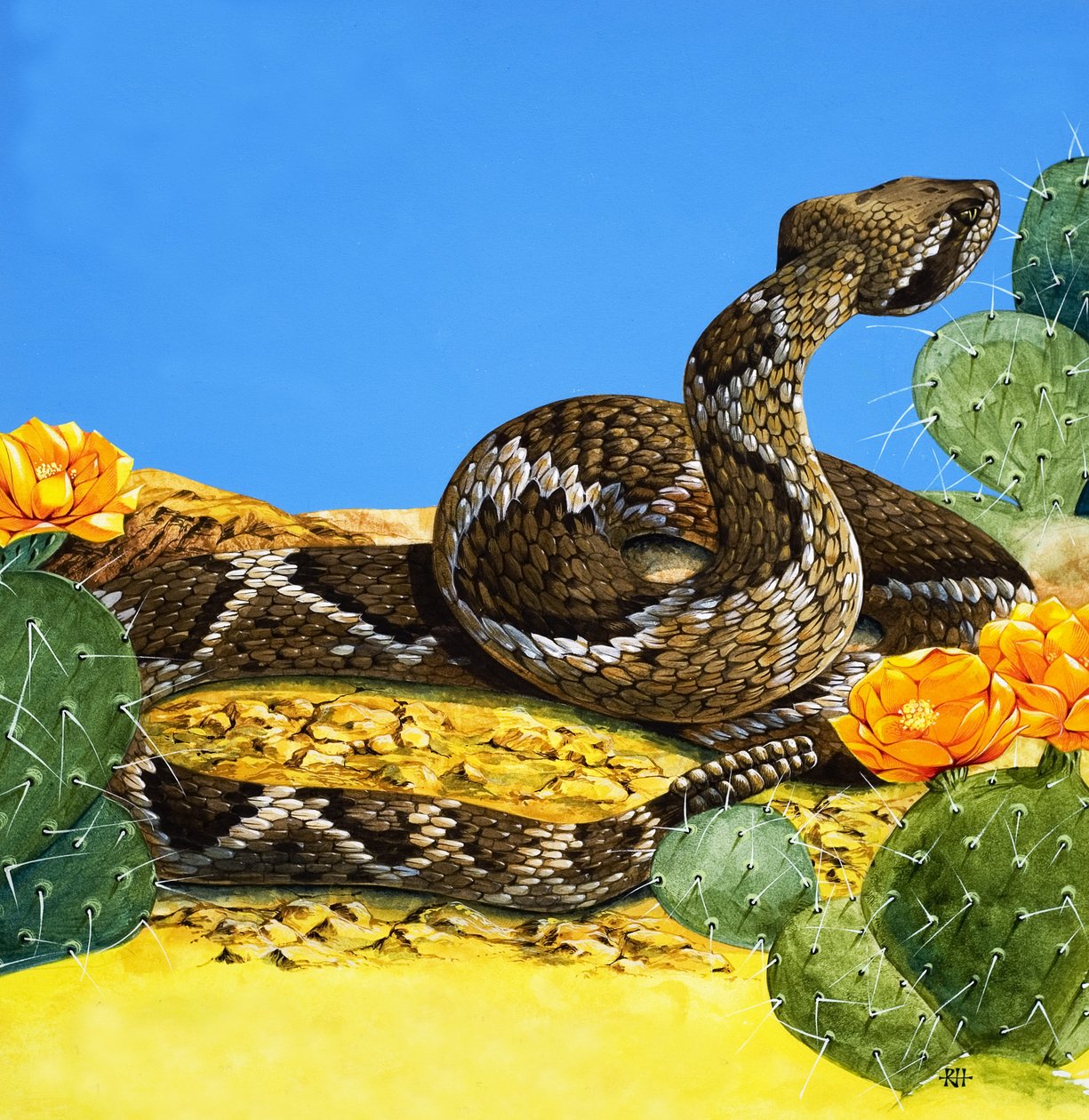  by Richard Hook