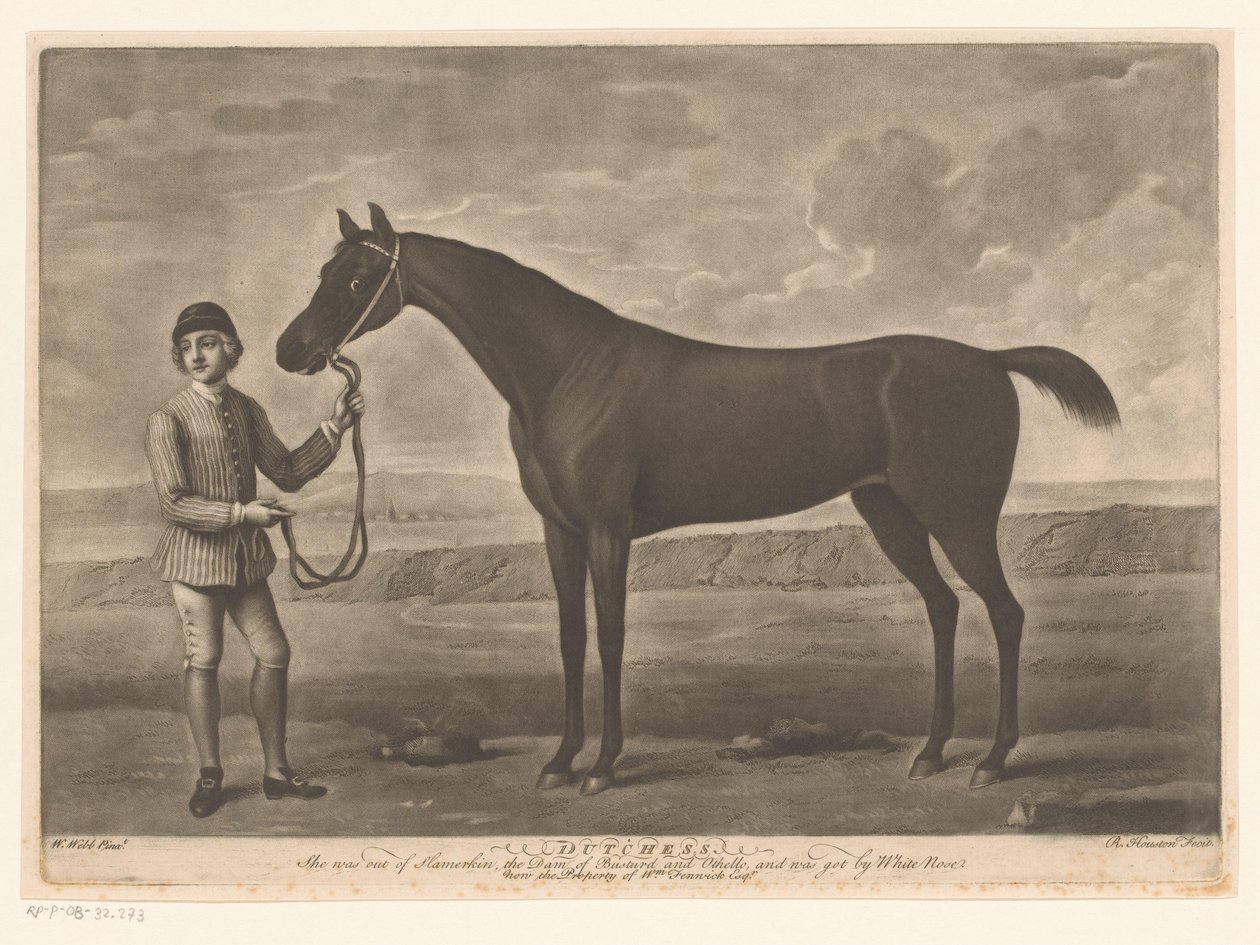 Racepaard jokey Dutchess ile tanıştı by Richard Houston