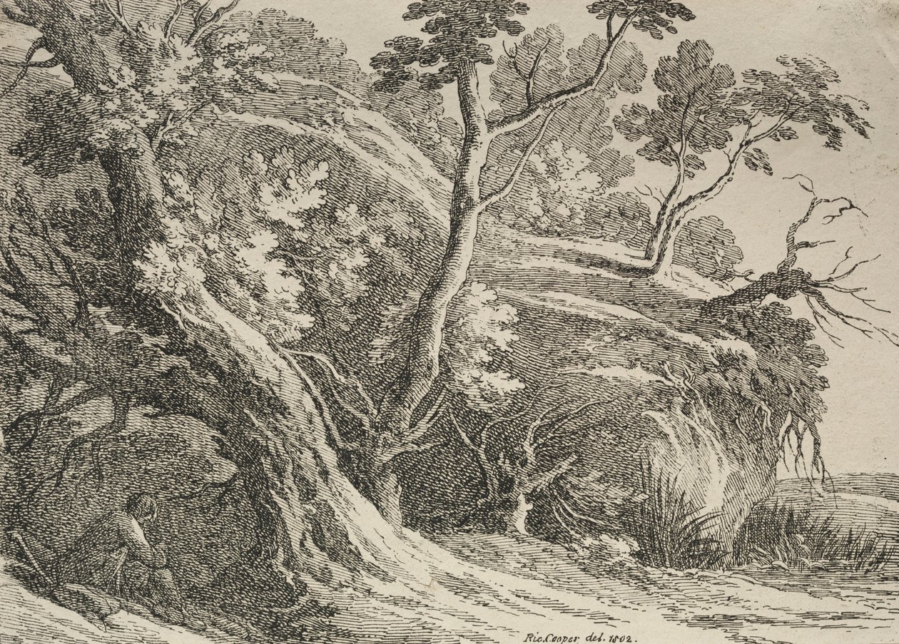 Poliotografi Örnekleri: Bir Meşe Altında Oturan Adam, 1802. by Richard II Cooper