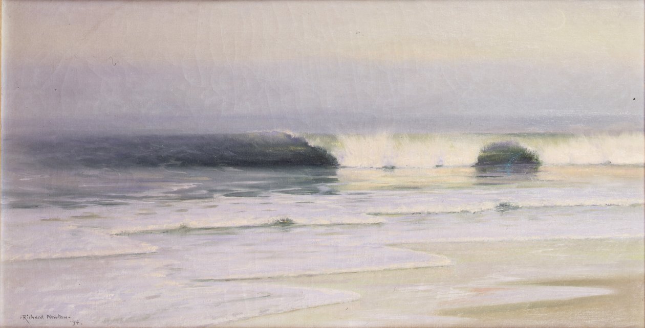 Sahil Sahnesi, Long Island by Richard Newton