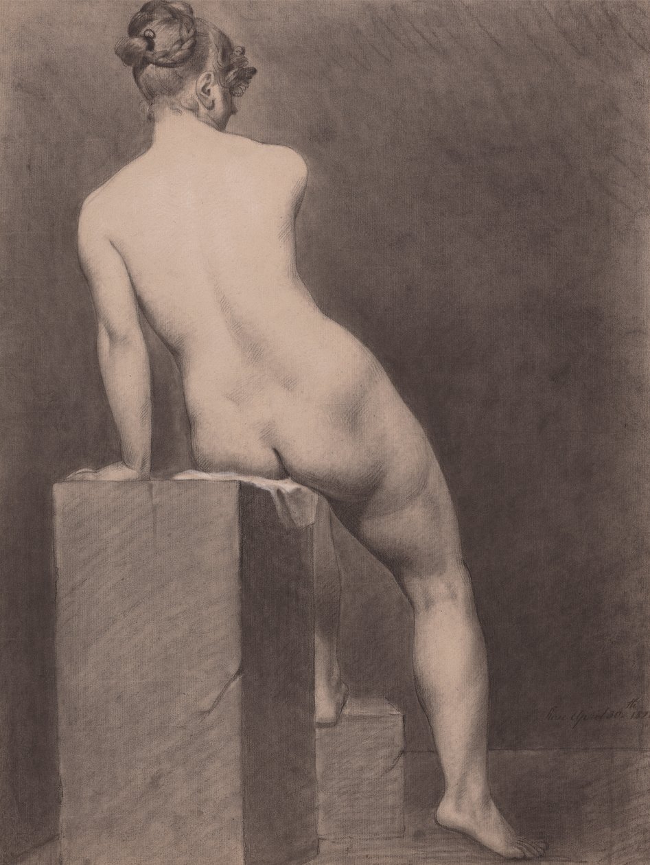 matmazel rose çıplak arkadan görünüm by Richard Parkes Bonington