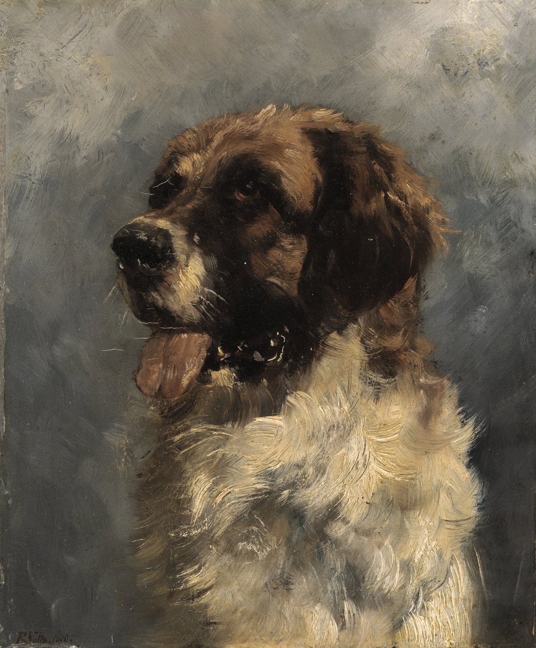Bernhardinund by Richard Voltz