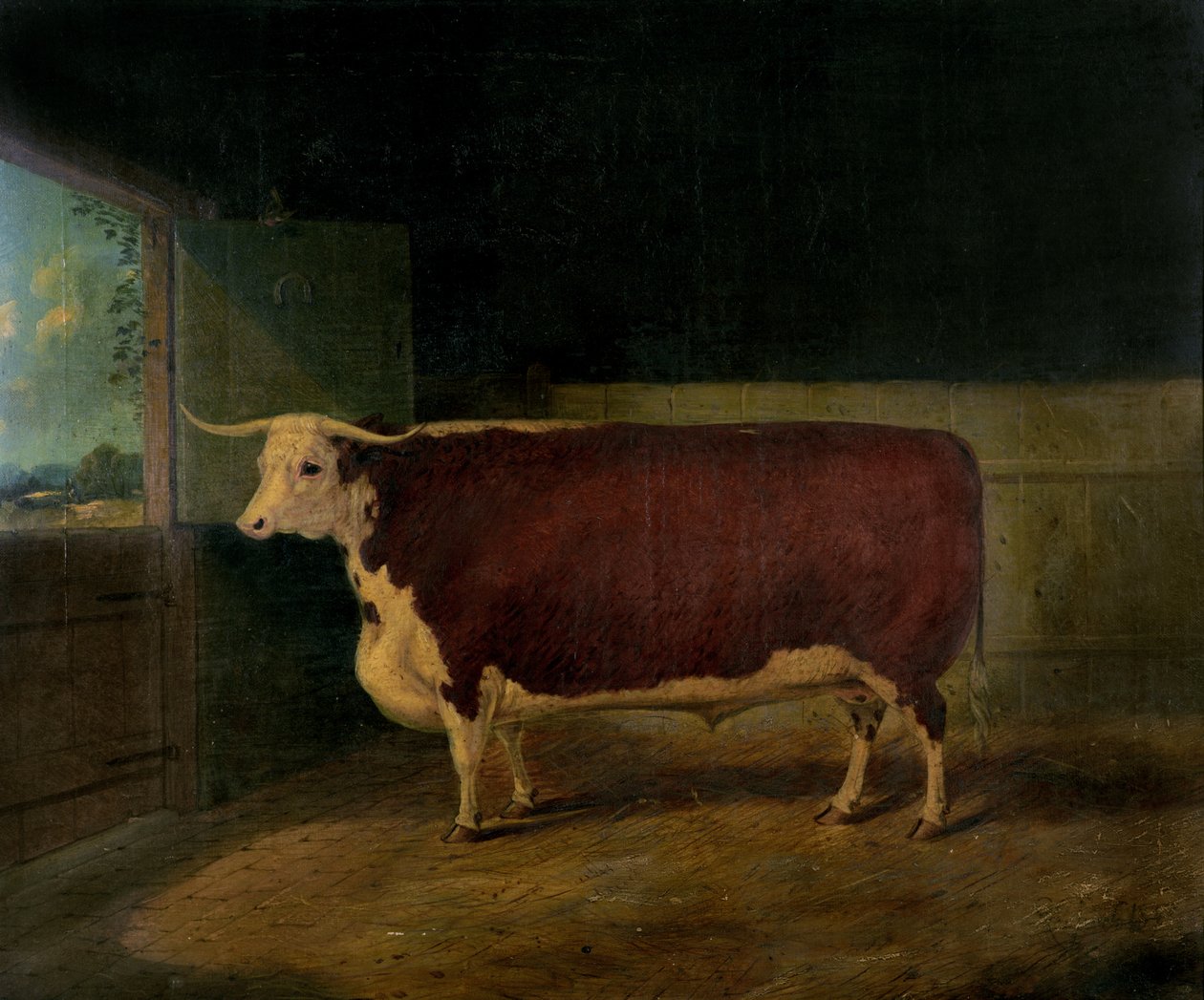 Bir Ödül Hereford Steer