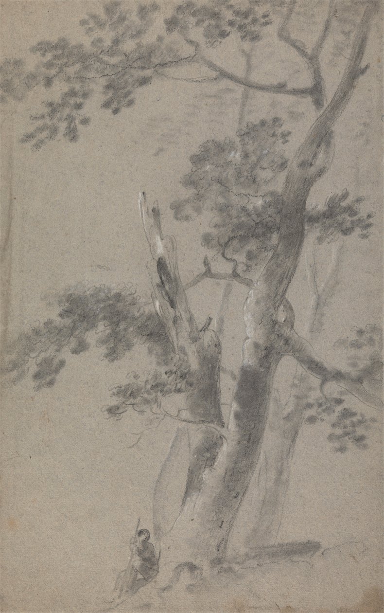 Bir Ağacın Altında Oturan Çoban by Richard Wilson