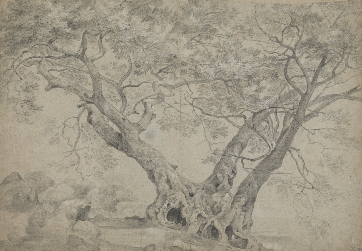 Nemi Gölü kıyısındaki Arbra Sacra, c.1754-56 (kağıt üzerinde siyah beyaz tebeşir) by Richard Wilson