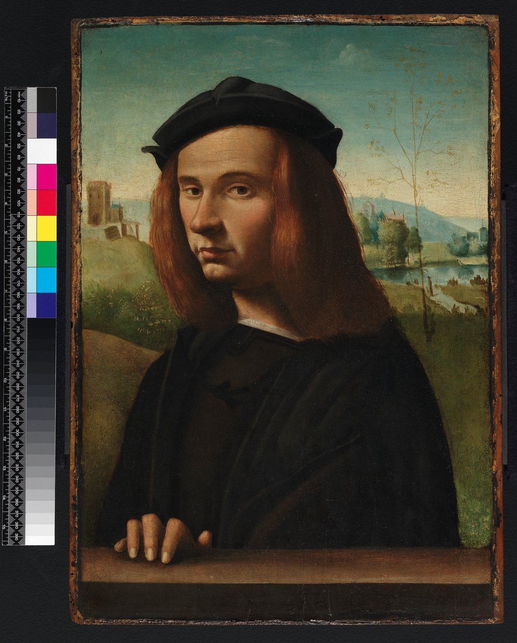 Genç bir adamın portresi, 1500 by Ridolfo Ghirlandaio