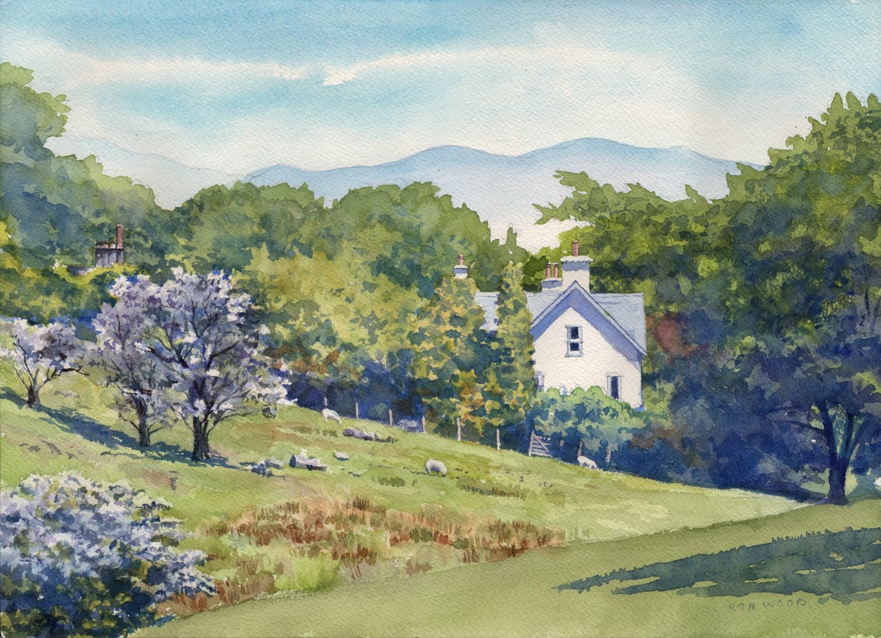 Göller Bölgesinde Bahar, 2016 (kağıt üzerine suluboya) by Rob Wood