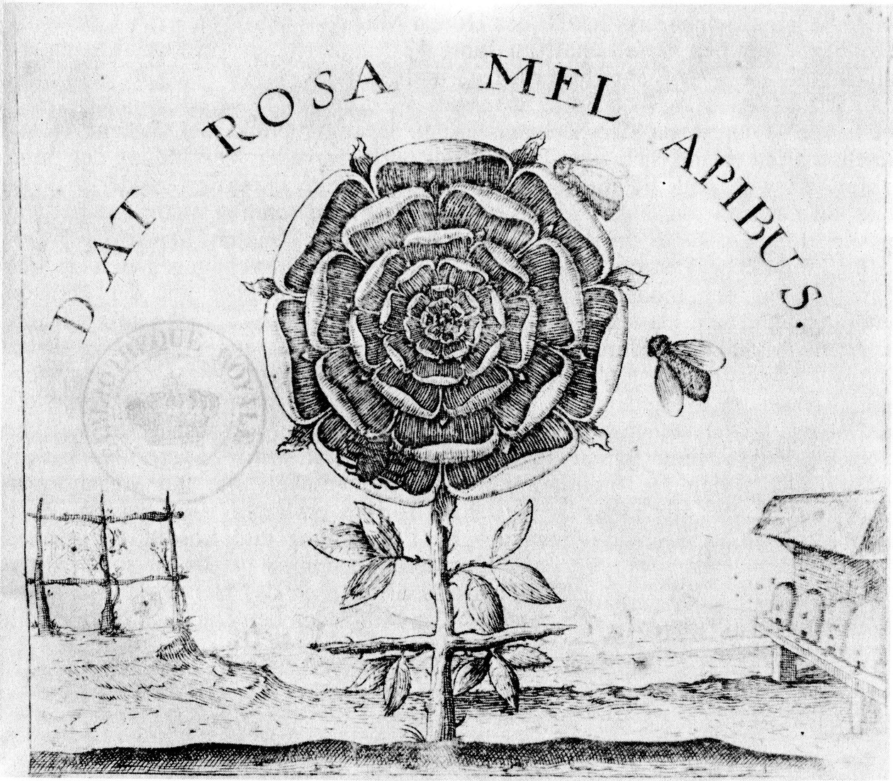 Yüce İyilik sayfası by Robert Fludd
