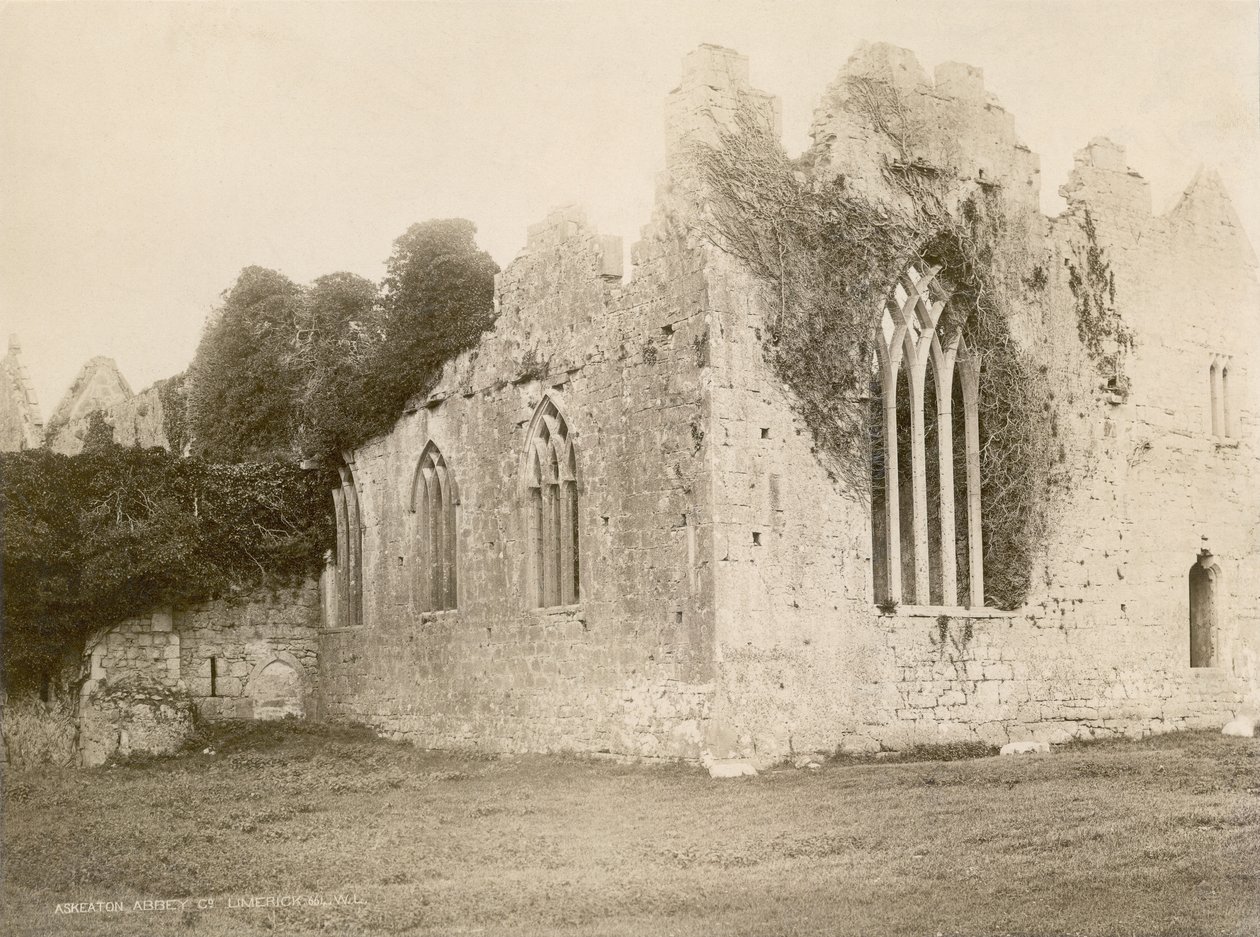 Askeaton Manastırı (sepya fotoğrafı) by Robert French