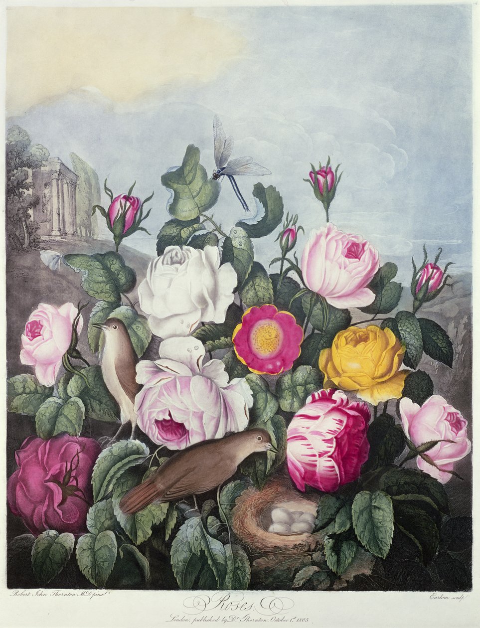 Robert Thornton tarafından 