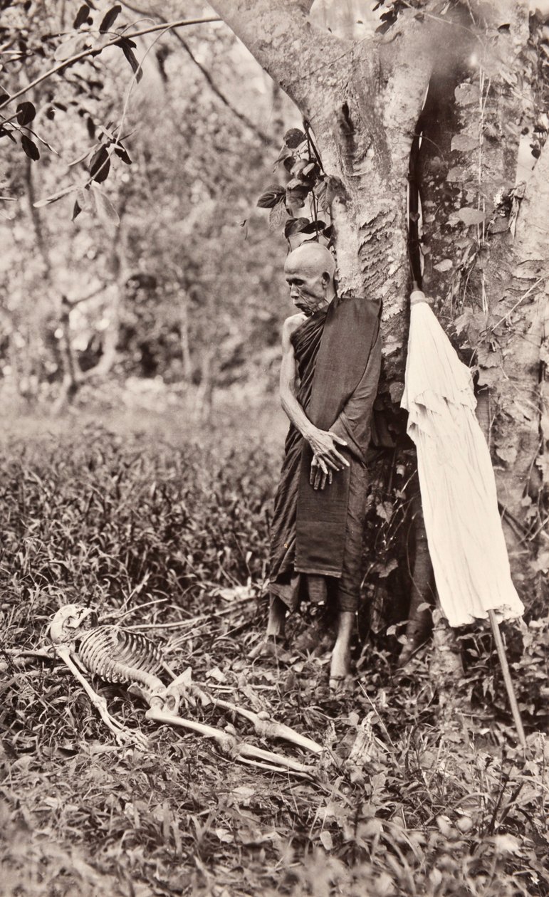 Bir İskeleti Düşünen Bir Keşişin Sembolik Fotoğrafı, Siam, 1890 dolayları by Robert Lenz