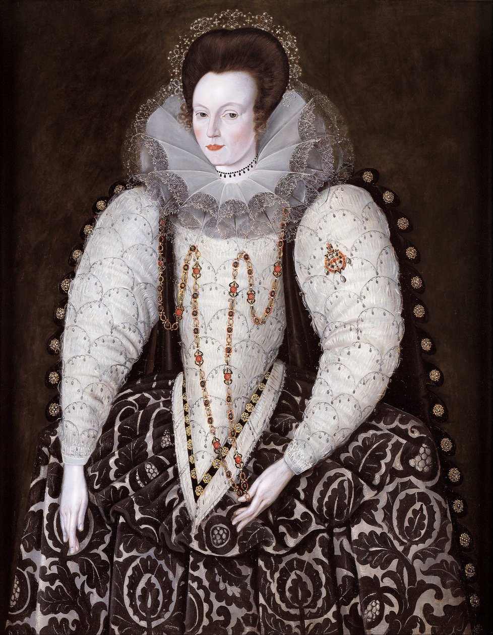 Frances, Lady Reynell, Batı Ogwell, Devon by Robert Peake