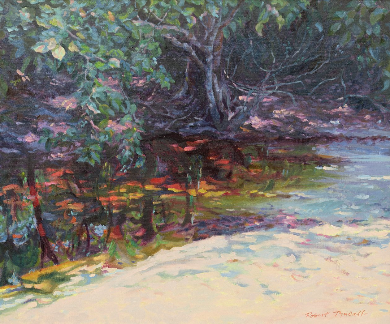 Plaj ve Yağmur Ormanı, Cape Tribulation, Kuzey Queensland, Avustralya by Robert Tyndall