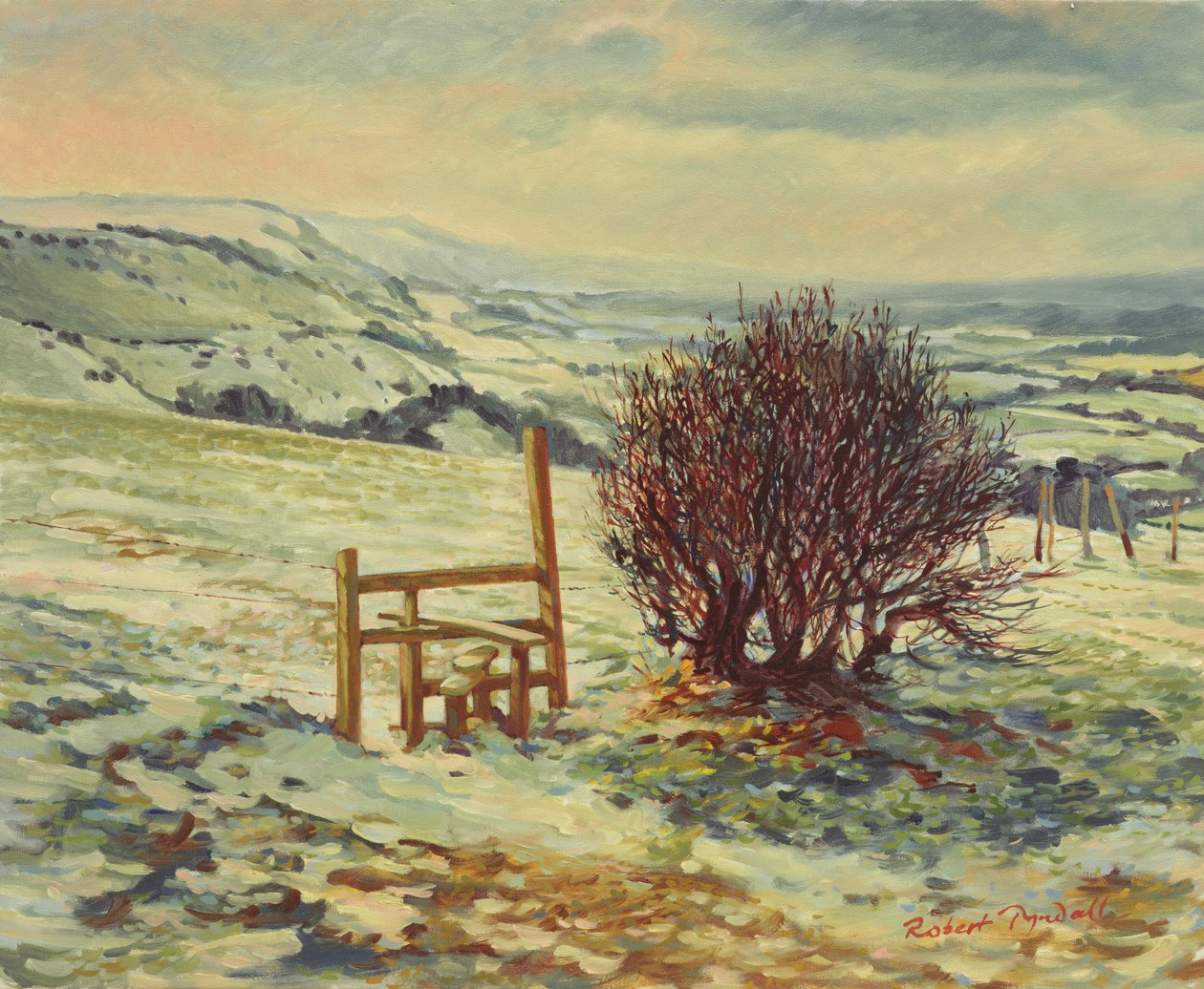 Sussex Stile, Kış, 1996 by Robert Tyndall