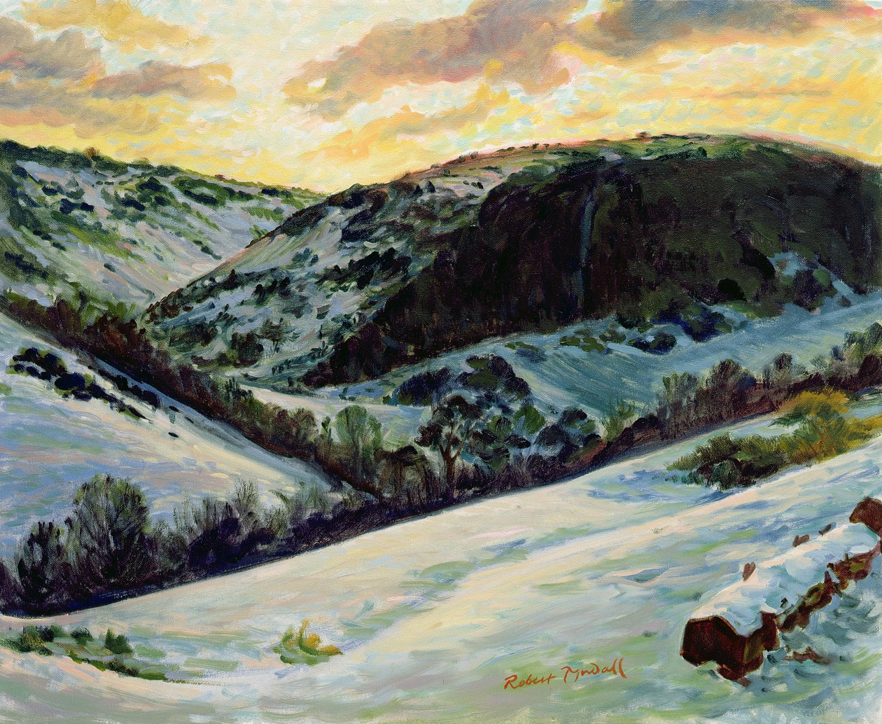 Kışın Devils Dyke, 1996 by Robert Tyndall