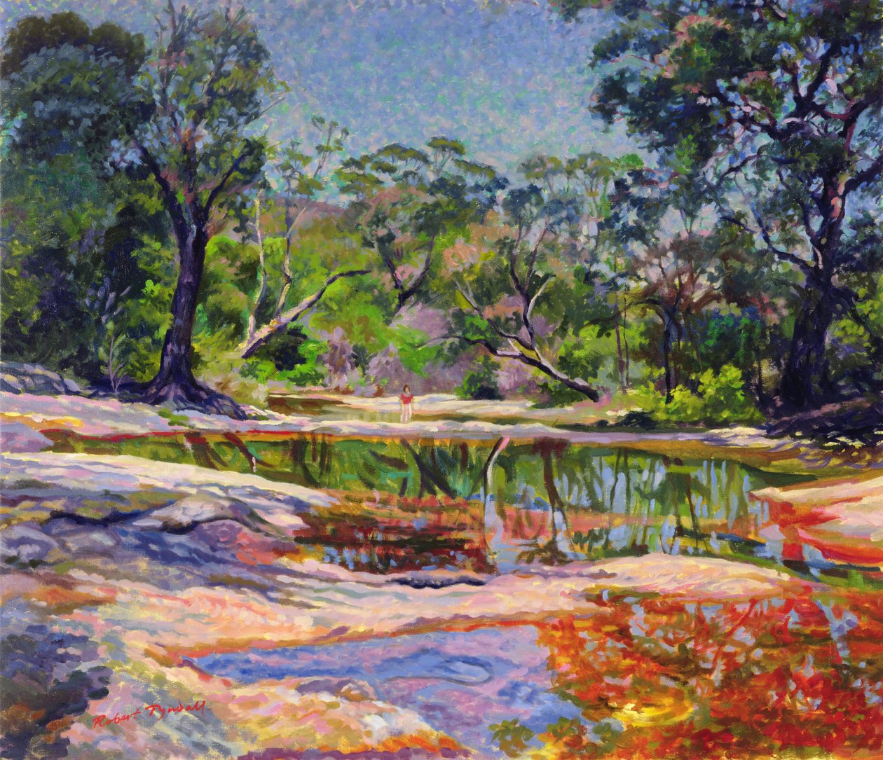 Wirreanda Creek, Yeni Güney Galler, Avustralya by Robert Tyndall