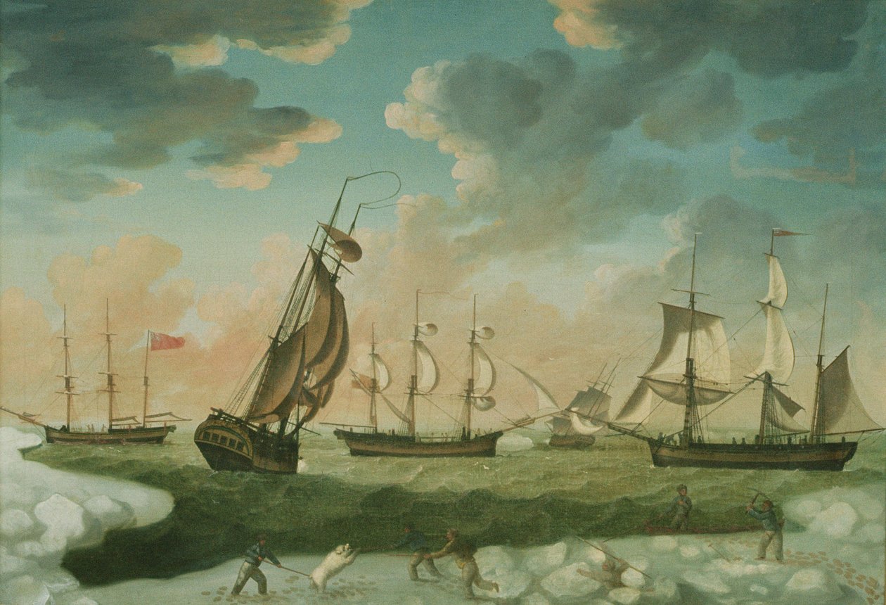 Arktik Sahne by Robert Willoughby