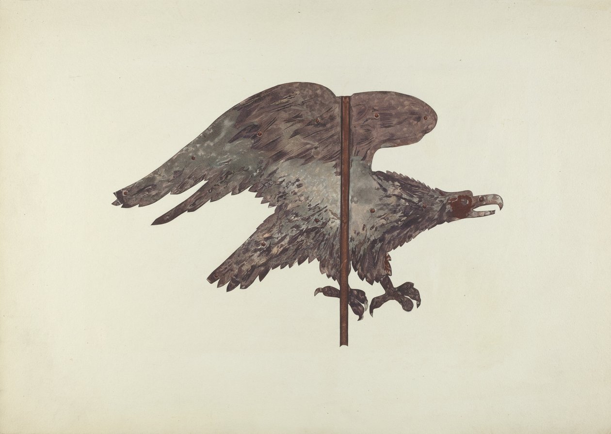 Uçan Kartal Rüzgar Gülü by Robert Barton