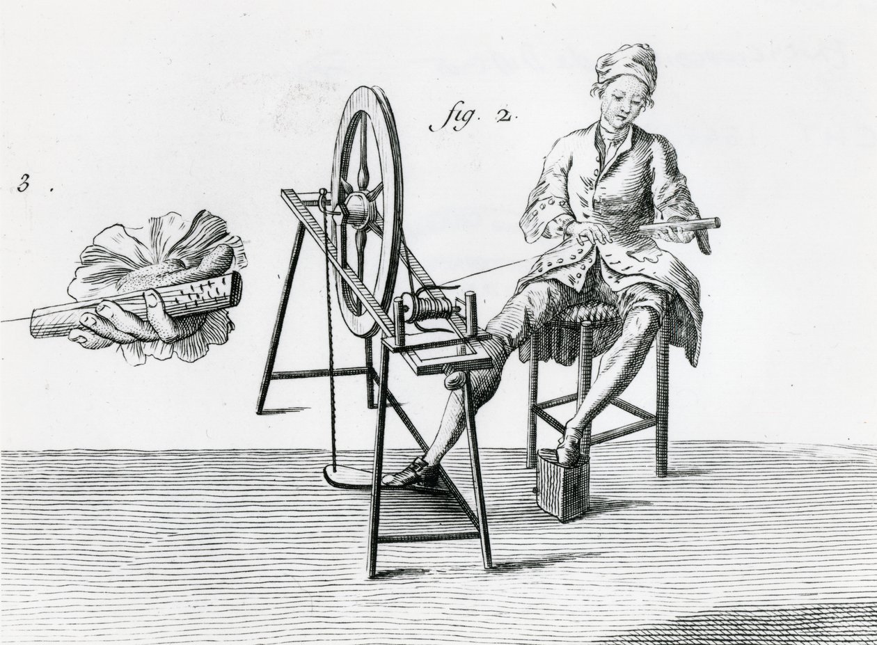 Rustik ekonomi, pamuk, Ansiklopediden Denis Diderot 1713-84 gravür bw fotoğraf detayı 164438 by Robert Benard