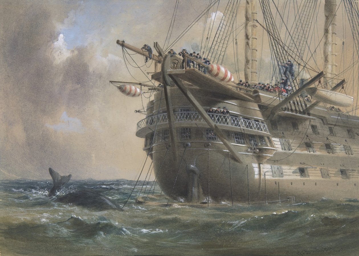 H.M.S. Agamemnon 1858