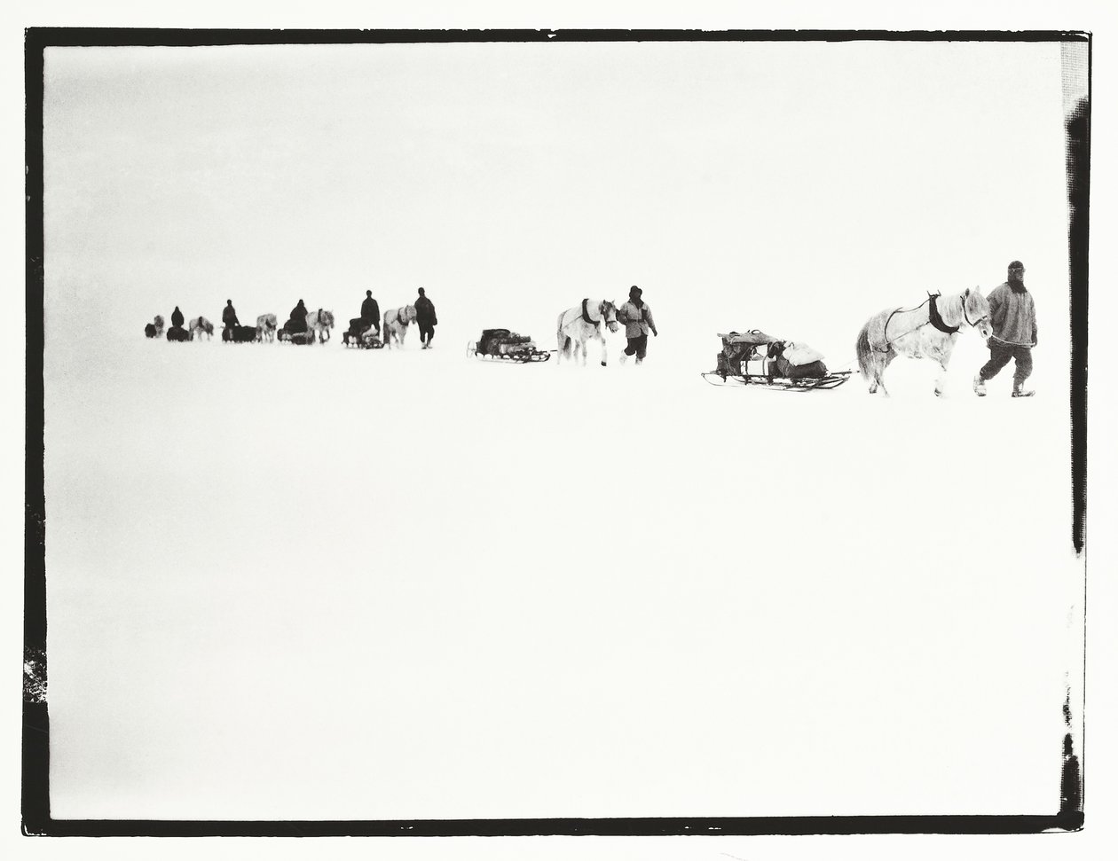 Yürüyüşte midilliler, Büyük Buz Bariyeri, 2 Aralık by Robert Falcon Scott