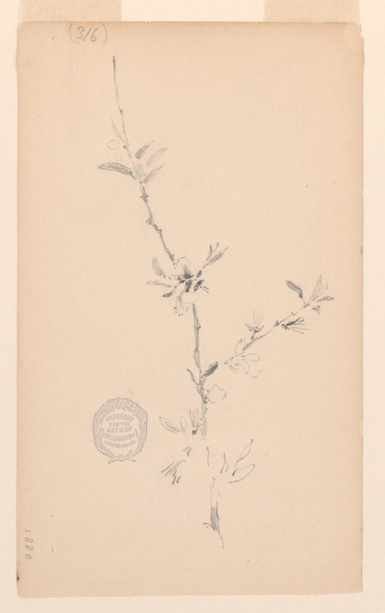 Dal by Robert Frederick Blum