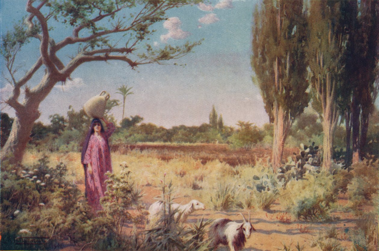 Damietta Yakınlarında Bir Pastoral, c1880, 1904 by Robert George Talbot Kelly