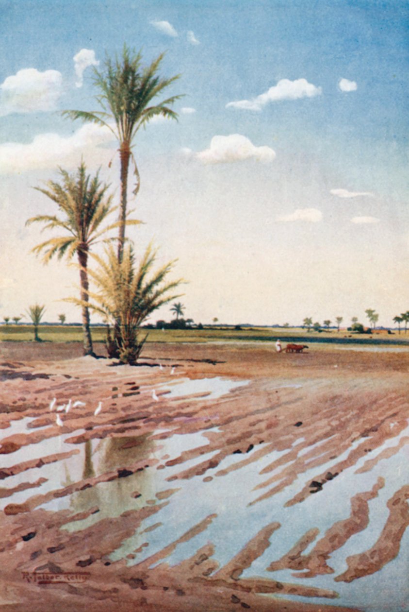 Sulanan Bir Tarla (renkli lito) by Robert George Talbot Kelly