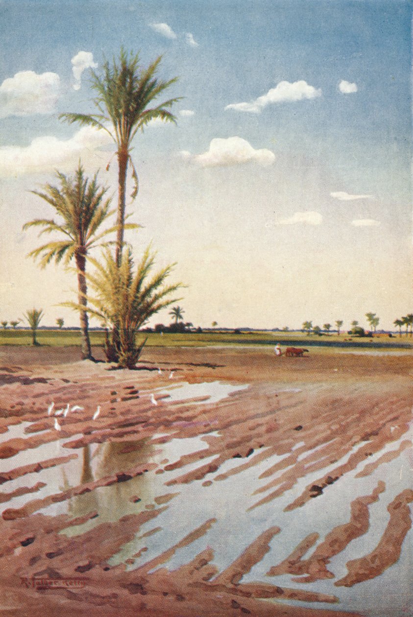 Sulanan Tarla, c1880, 1904 by Robert George Talbot Kelly
