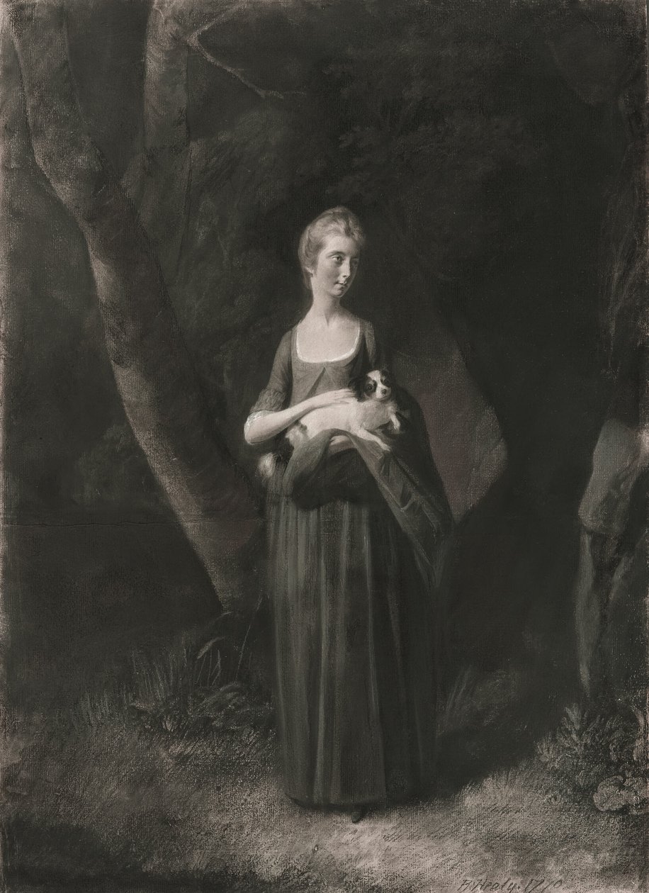  by Robert Healy