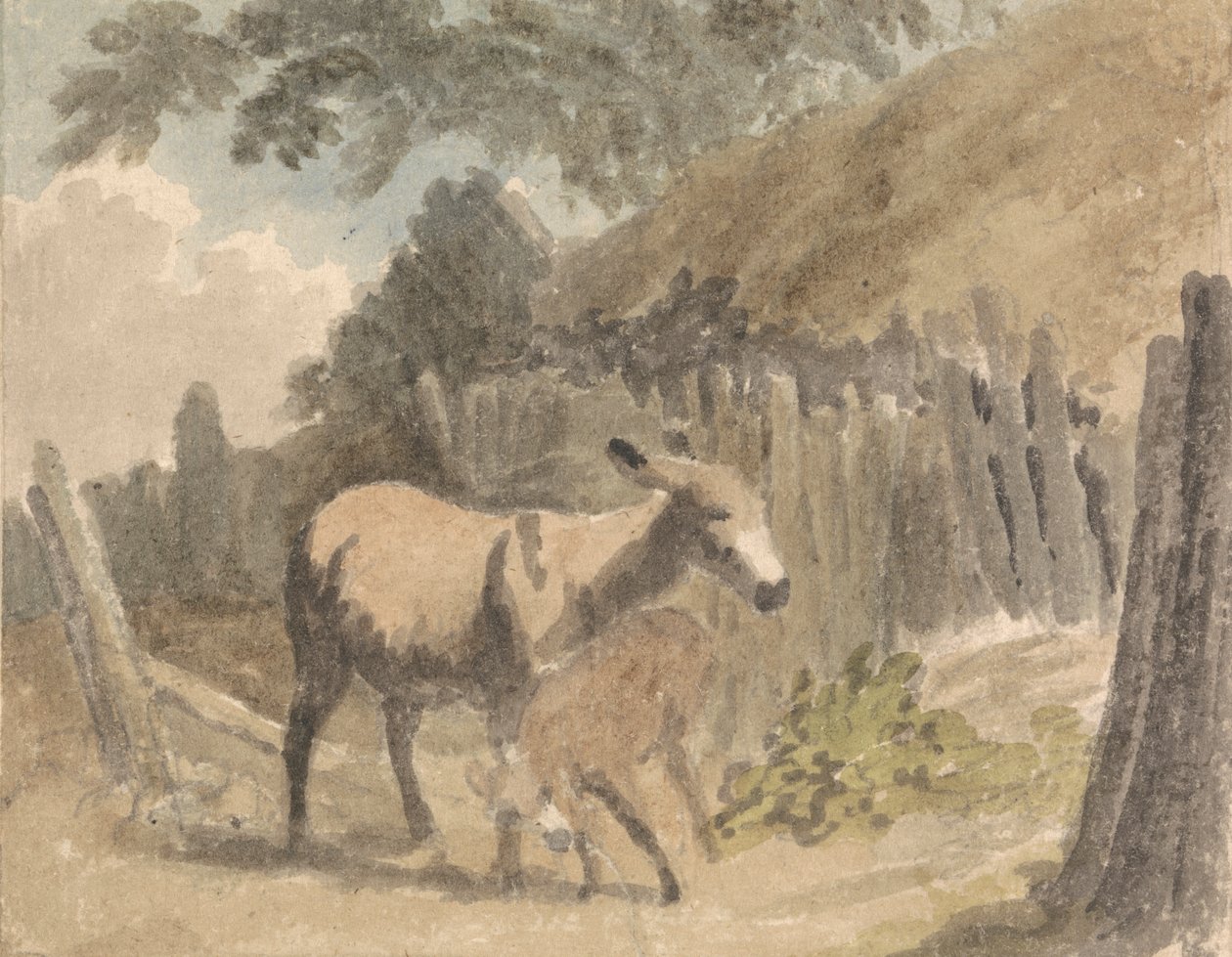 Bir Eşek ve Tay by Robert Hills