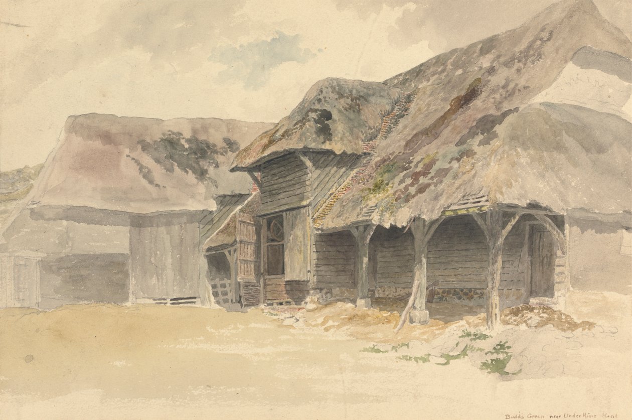 Tomurcuklar Yeşil, Kent by Robert Hills
