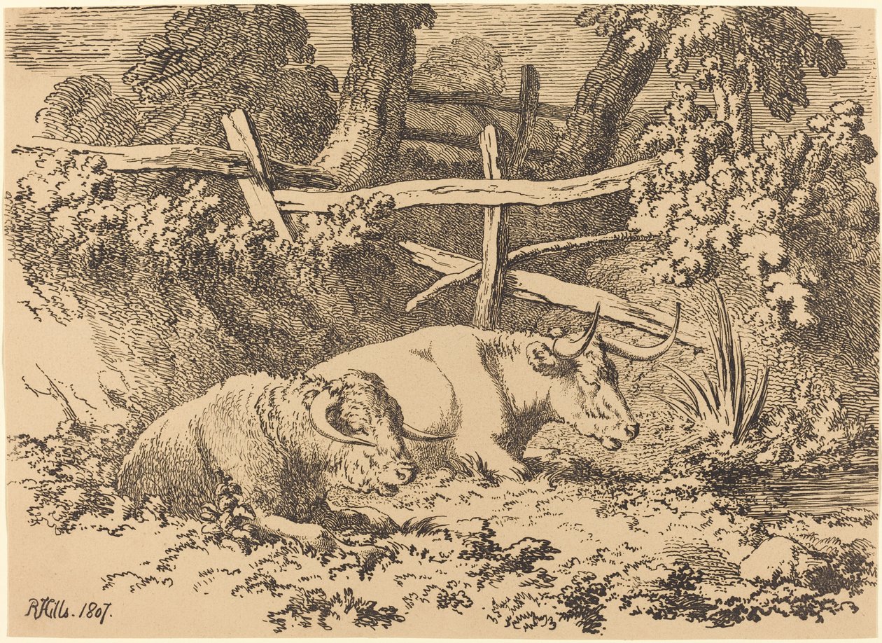 Sığır Dinlenme by Robert Hills