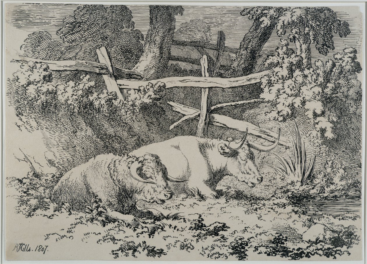 Sığır Dinlendirme, 1807 by Robert Hills