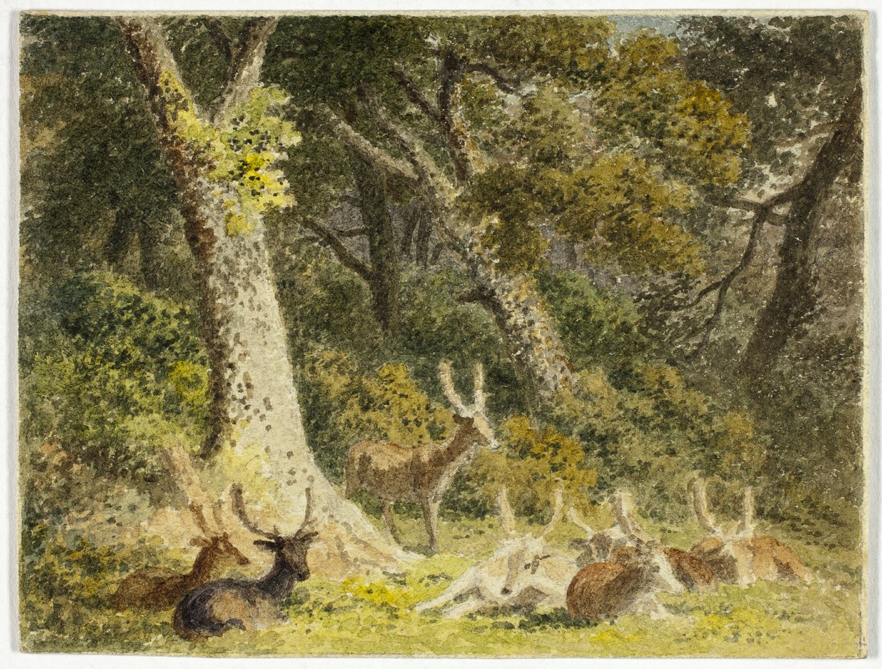  by Robert Hills
