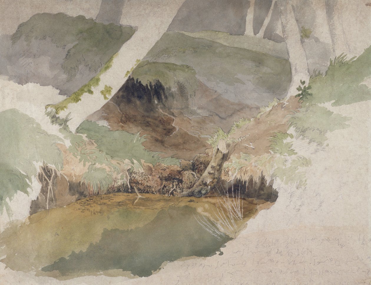 Forest Pool (wc over graphite on paper) by Robert Hills
