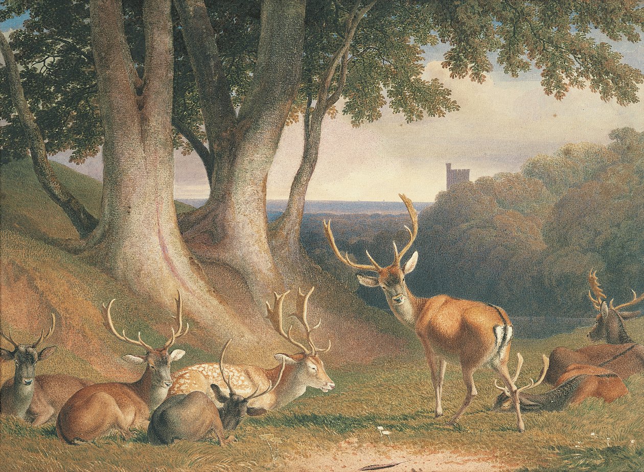  by Robert Hills