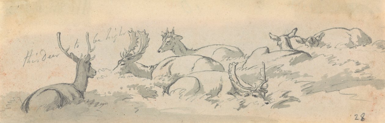 Dinlenen Geyikler ve Geyikler by Robert Hills