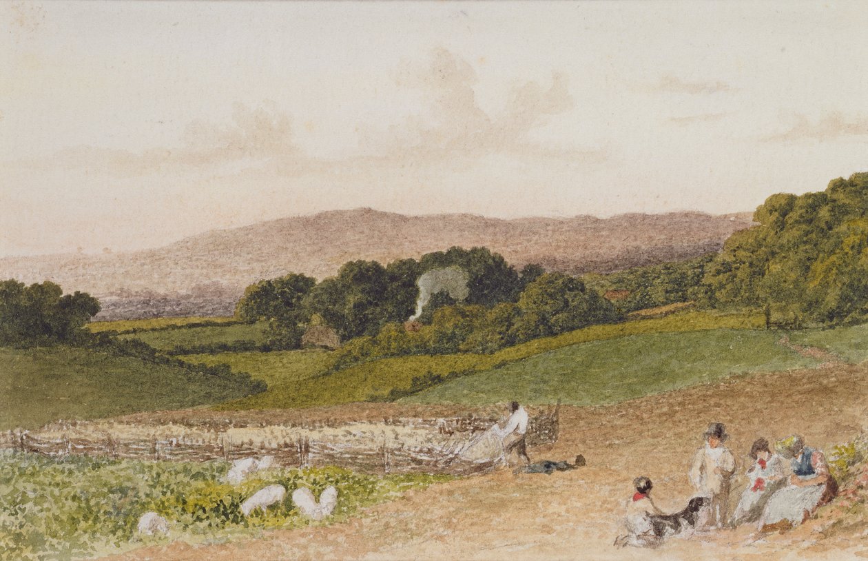 Şalgam Tarlası by Robert Hills