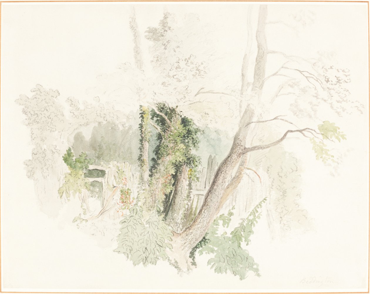Beddington