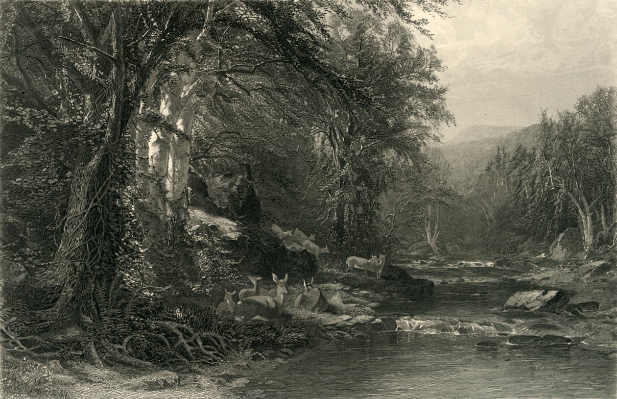 "Adirondack Ormanı", 1874. by Robert Hinshelwood