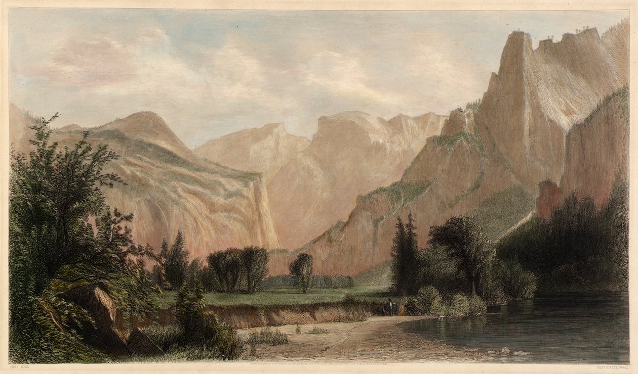  by Robert Hinshelwood