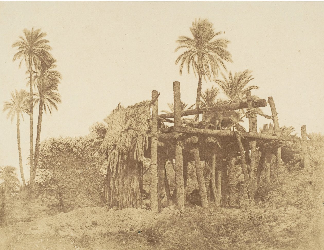 Nubian Sakkieh veya Su Çarkı, yaklaşık. 1856. by Robert Murray.
