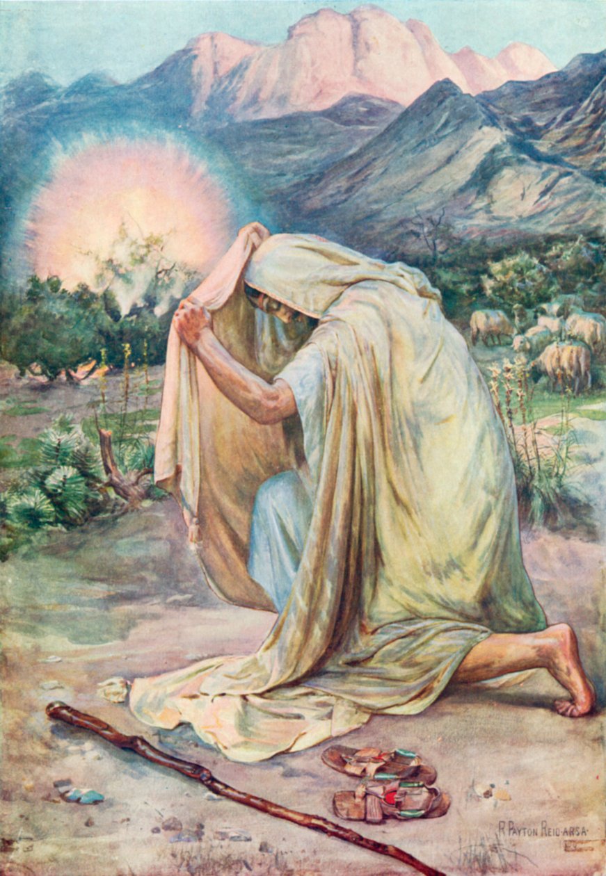 Yanan Çalı (renkli taş baskı) by Robert Payton Reid